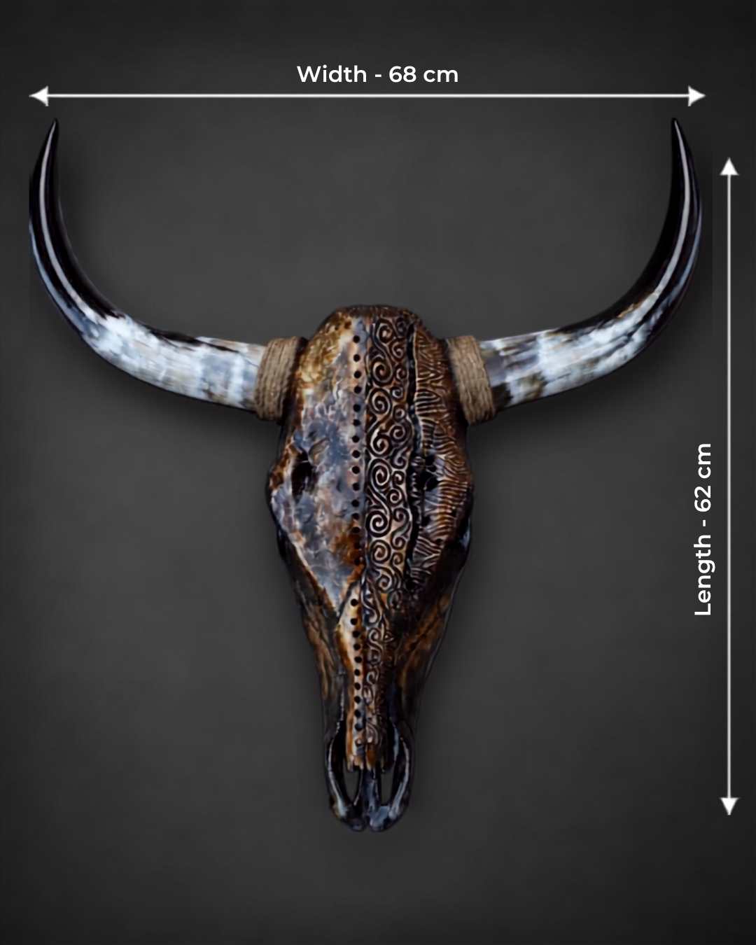 The Chronicle artisanal carved cattle skull – product view 5