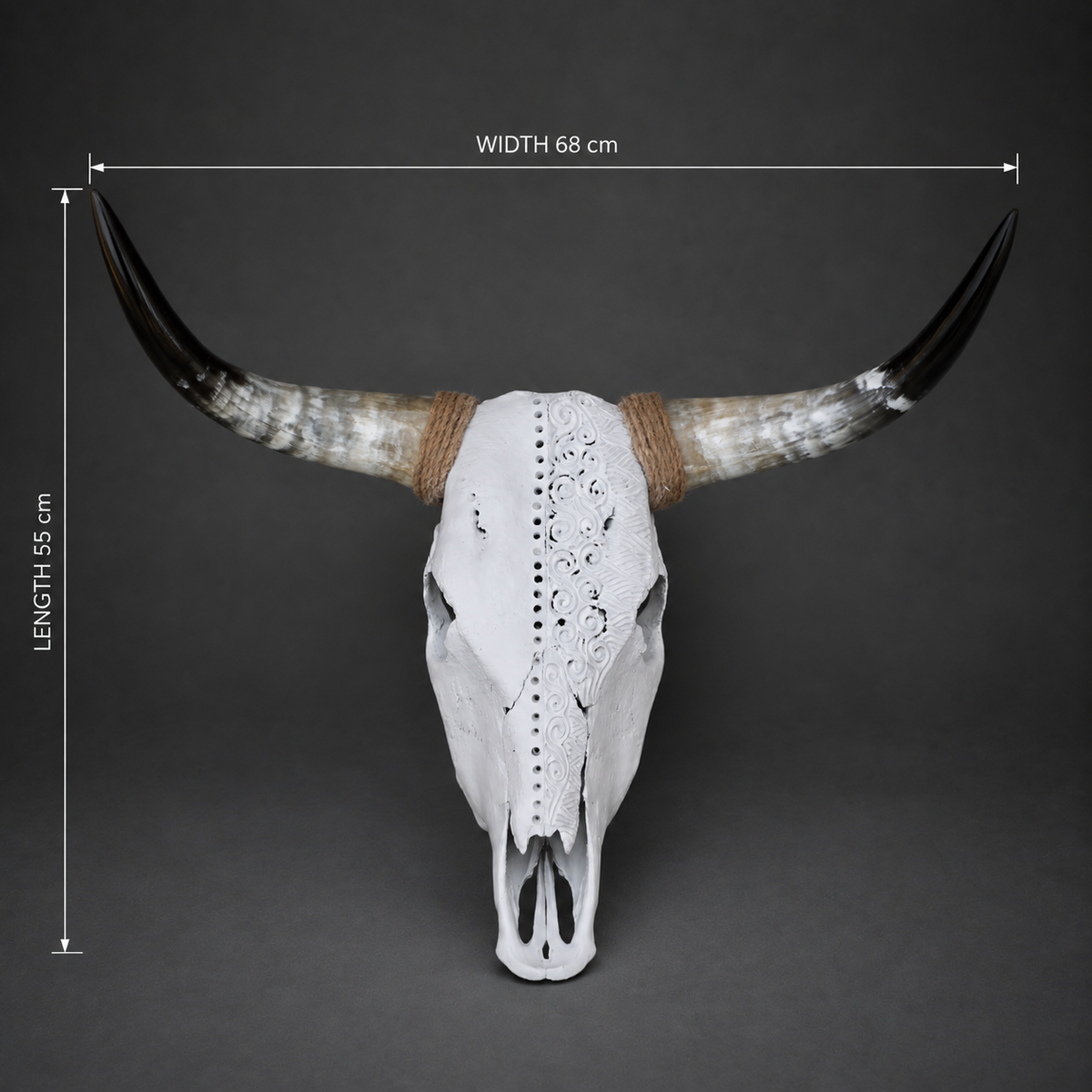 The Divide artisanal carved cattle skull – dimensions view
