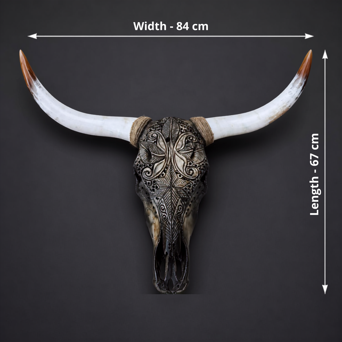 The Radiant artisanal carved cattle skull – product view 5