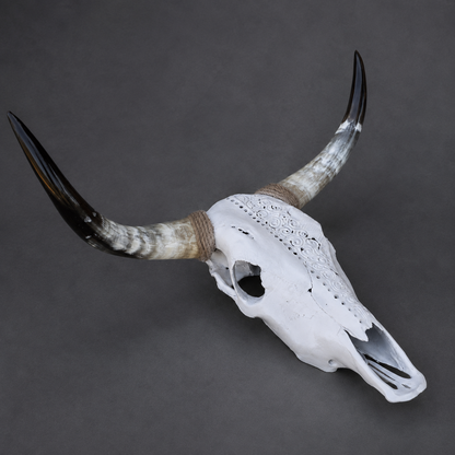 The Divide artisanal carved cattle skull – right angle view