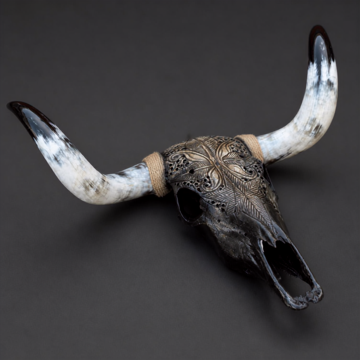 The Empress artisanal carved cattle skull – product view 3