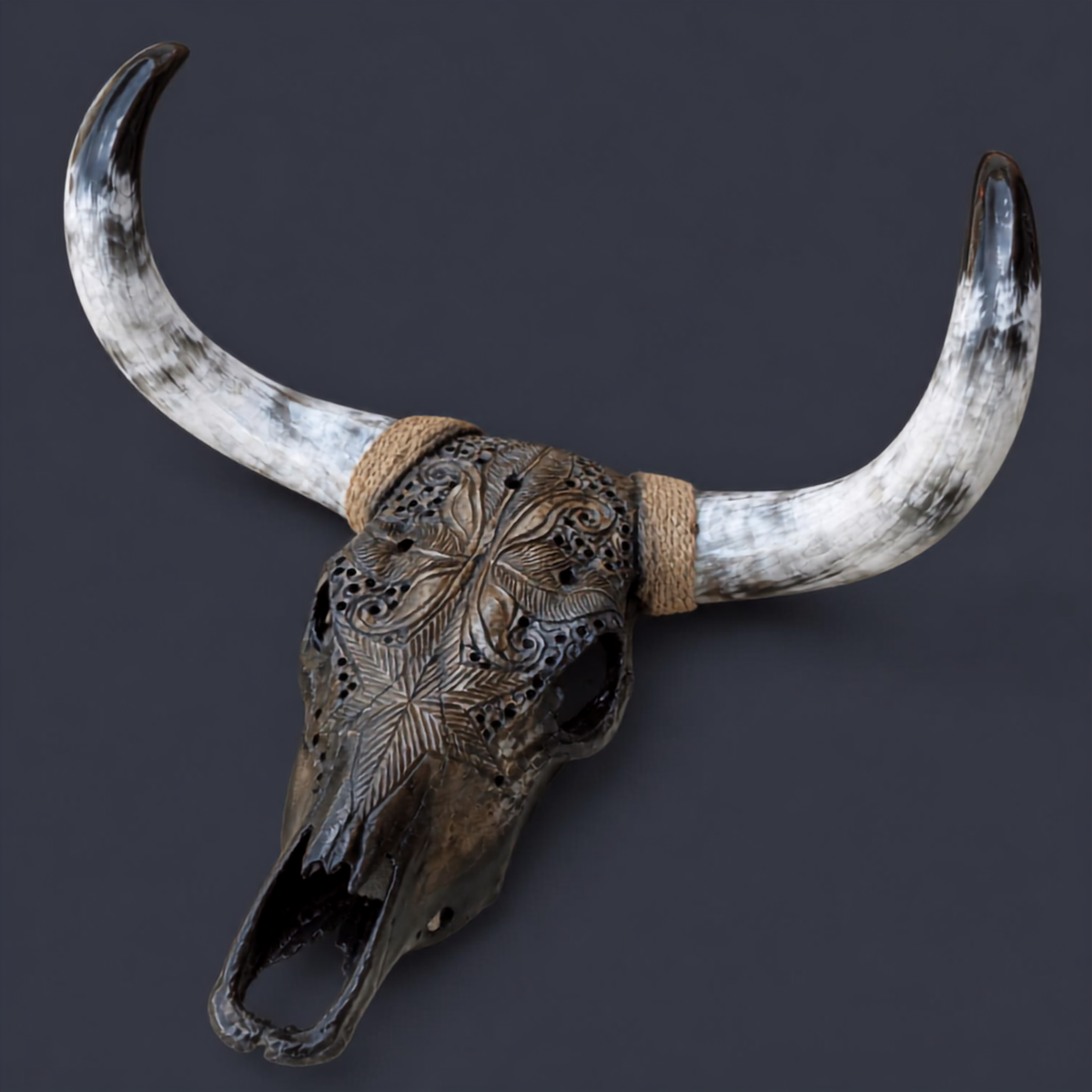 The Empress artisanal carved cattle skull – product view 4
