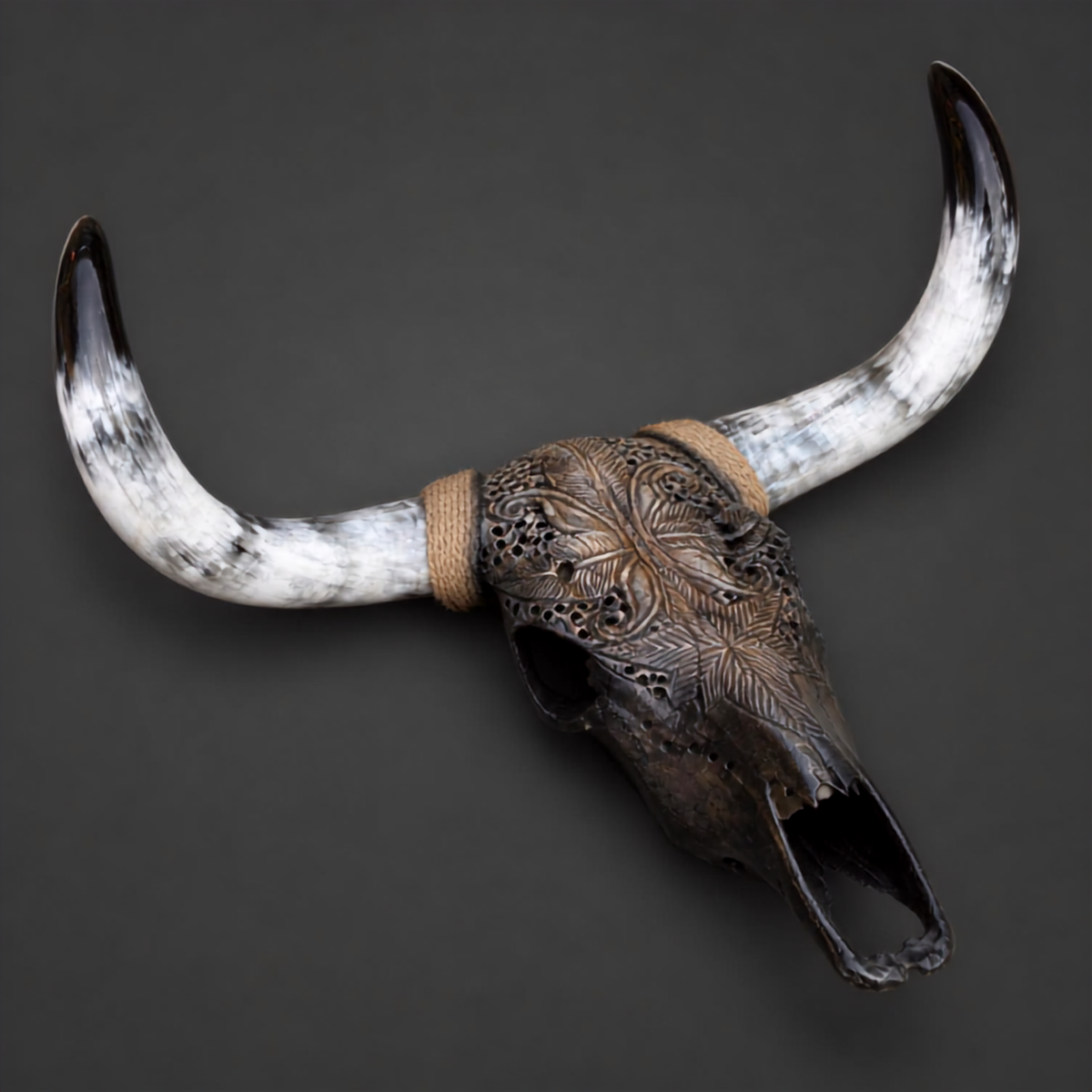 The Empress artisanal carved cattle skull – product view 5