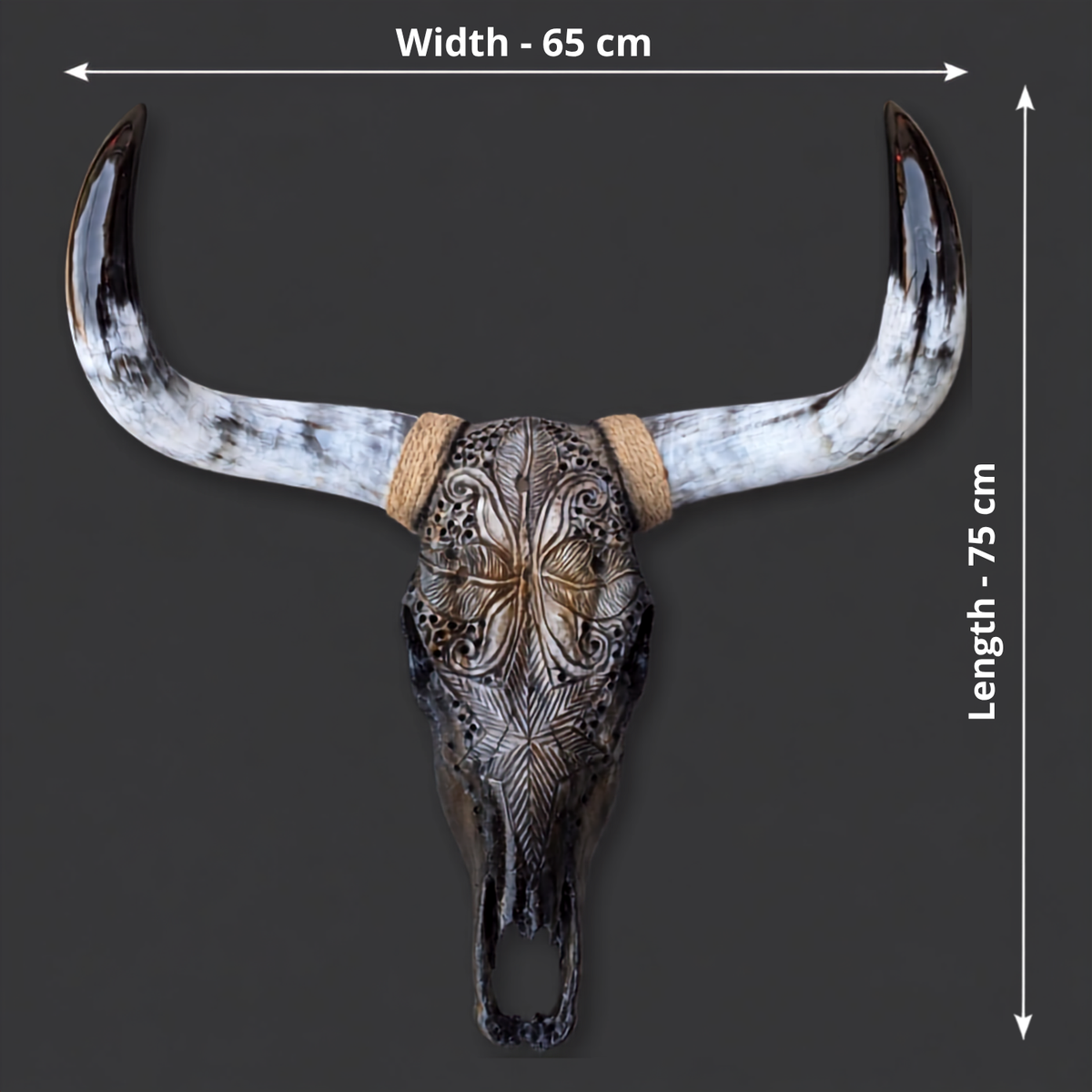 The Empress artisanal carved cattle skull – product view 7