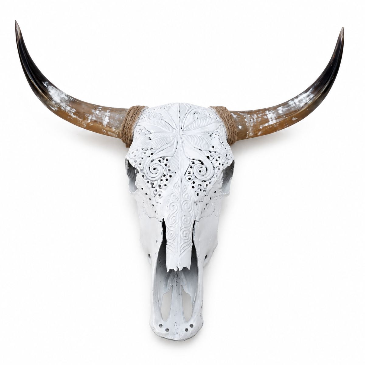 The Luminary artisanal carved cattle skull – studio view