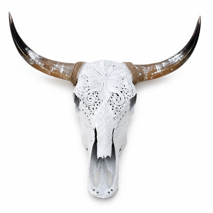 The Luminary artisanal carved cattle skull – studio view