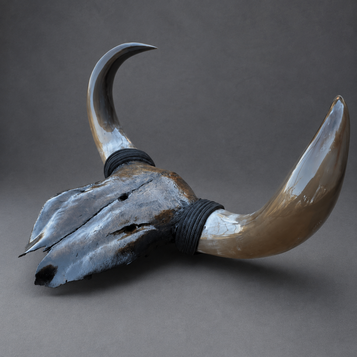 The Obsidian artisanal carved cattle skull – left angle view