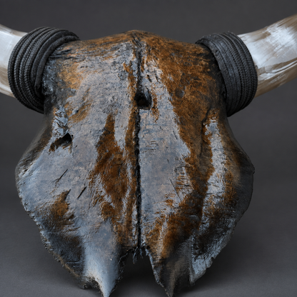 The Obsidian artisanal carved cattle skull – product view 3