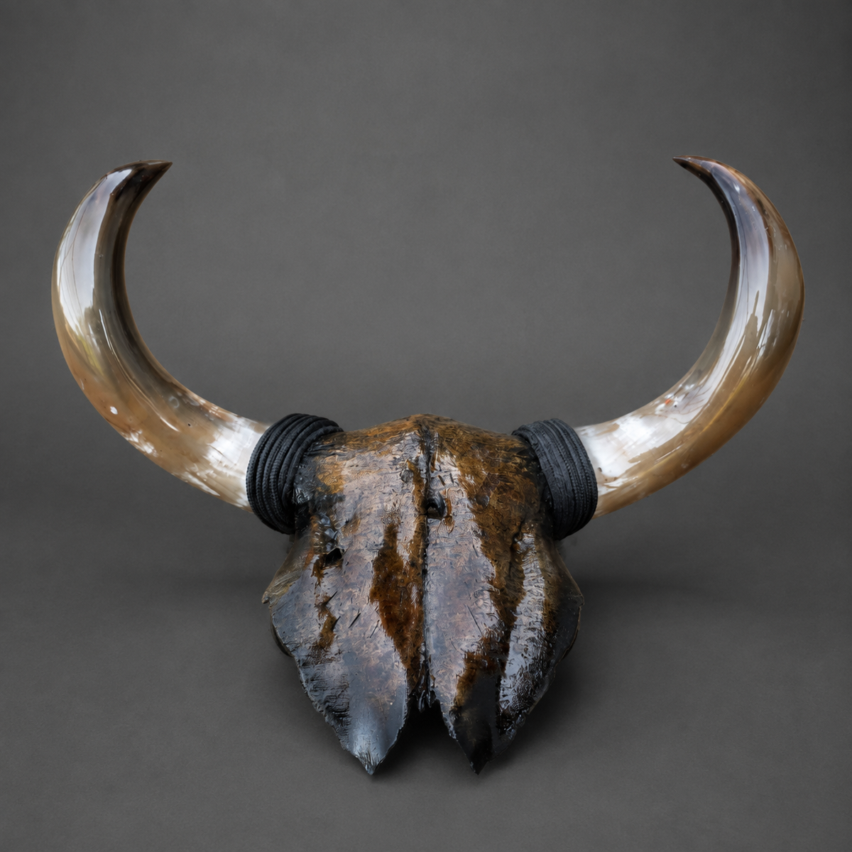 The Obsidian artisanal carved cattle skull – front view