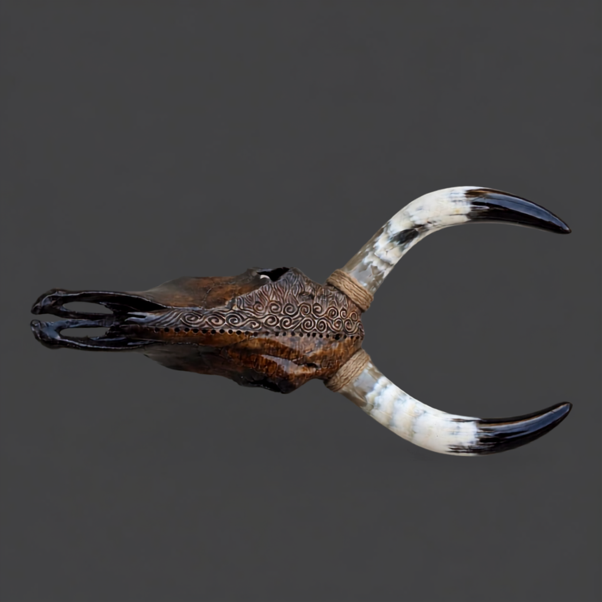 The Outlier artisanal carved cattle skull – product view 4