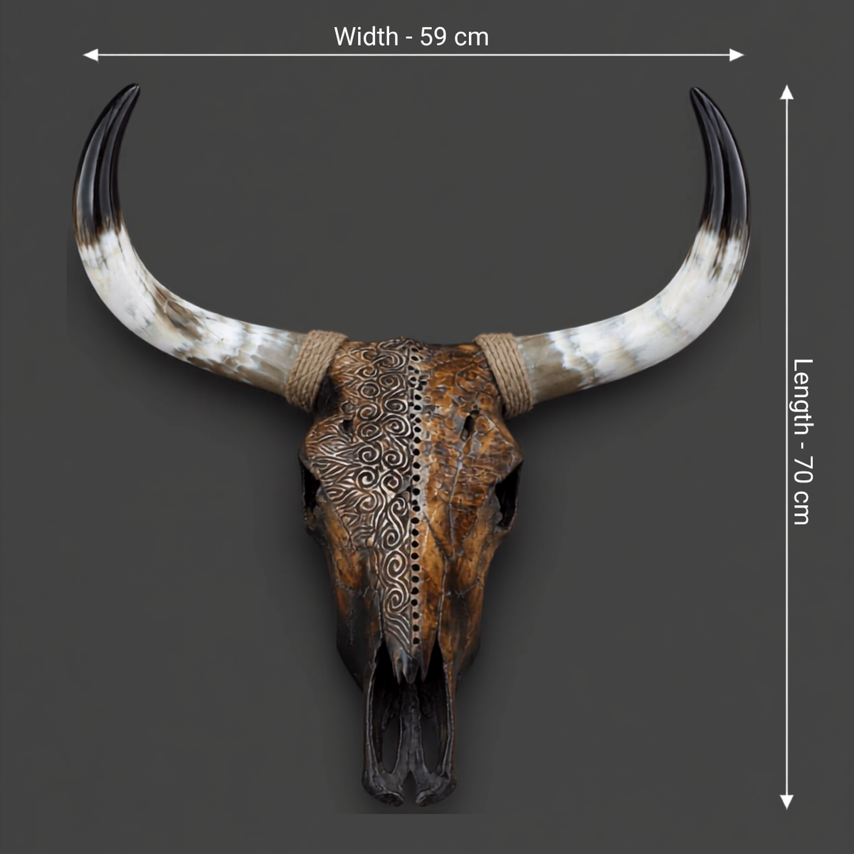 The Outlier artisanal carved cattle skull – product view 5