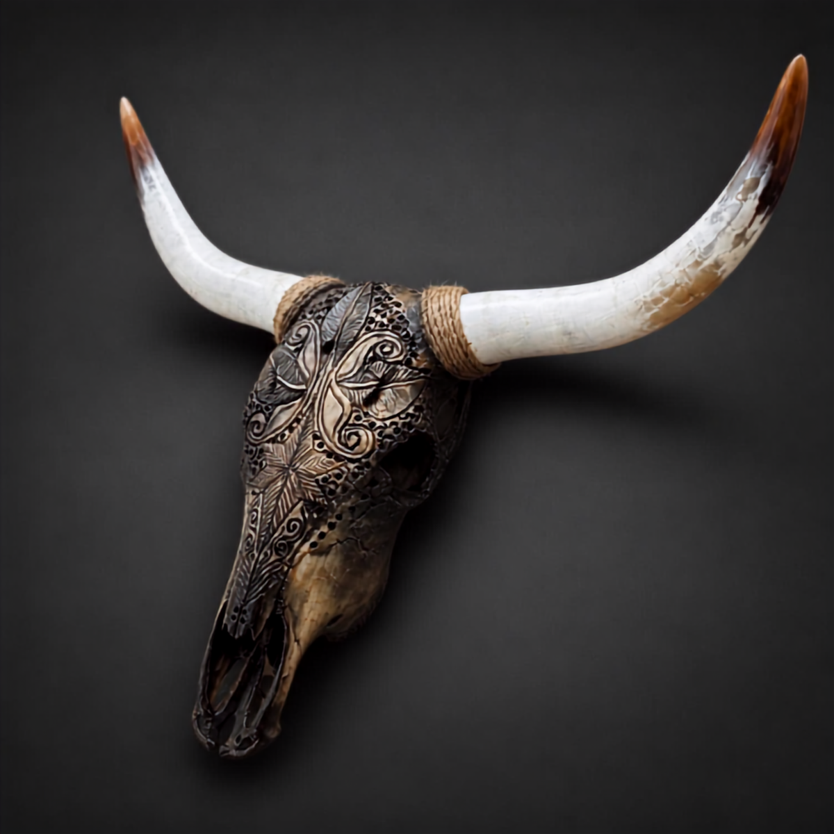 The Radiant artisanal carved cattle skull – product view 4