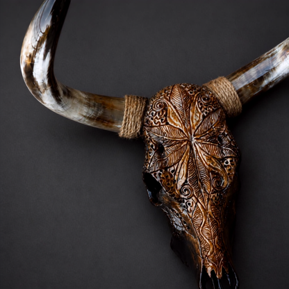 The Regent artisanal carved cattle skull – product view 4