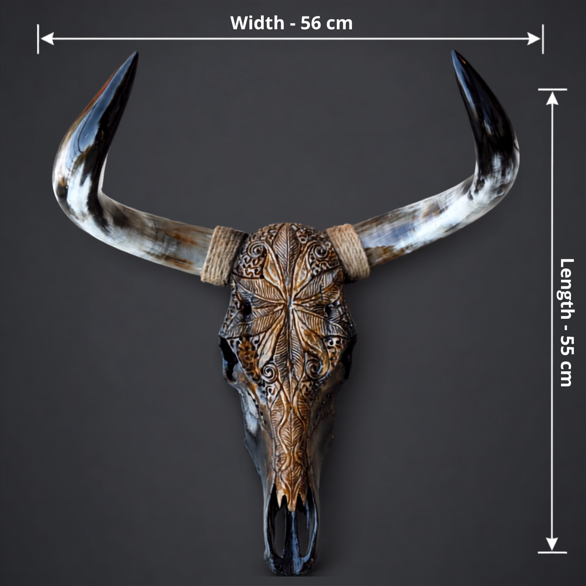 The Regent artisanal carved cattle skull – product view 5