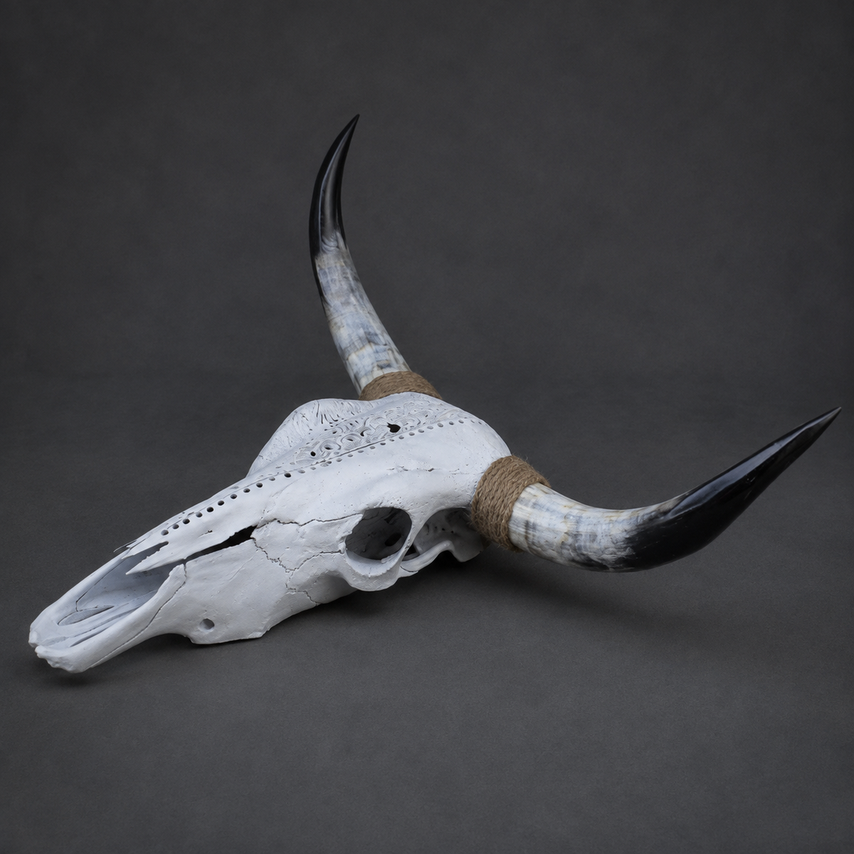 The Scribe artisanal carved cattle skull – left angle view