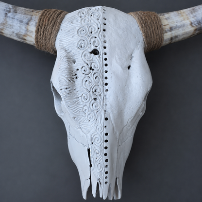 The Scribe artisanal carved cattle skull – product view 3