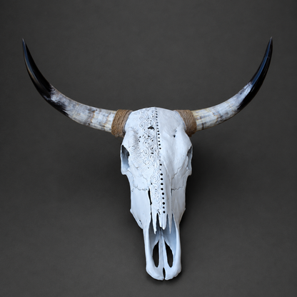 The Scribe artisanal carved cattle skull – front view