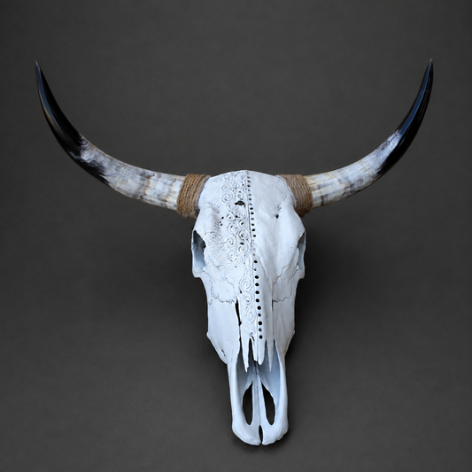 The Scribe artisanal carved cattle skull – front view